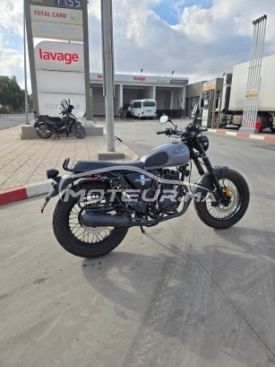 CIMATTI Naked 50 Bobber occasion  2904643