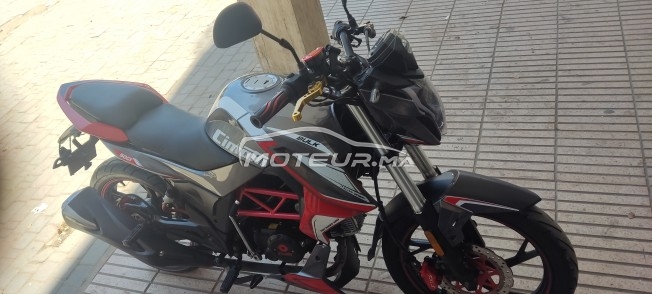 CIMATTI Naked 50 Gt50 naked occasion  1644385