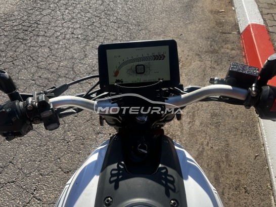 CIMATTI Ycr 250 Brutal occasion  3098012