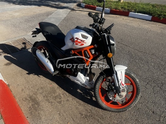 CIMATTI Ycr 250 Brutal occasion  3098009