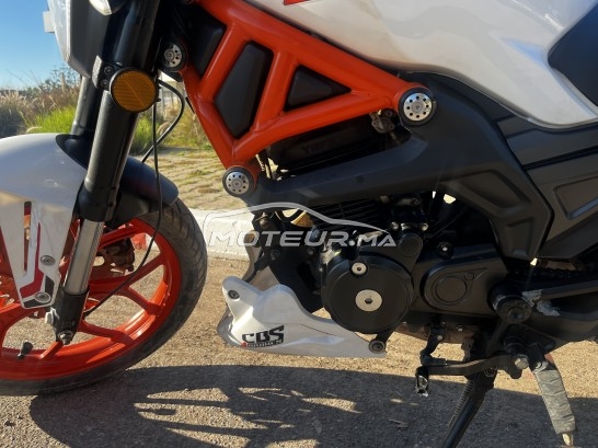 CIMATTI Ycr 250 Brutal occasion  3098011