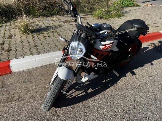 CIMATTI Ycr 250 Brutal occasion  3107682