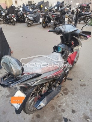 COOPER Winner s occasion  1793870