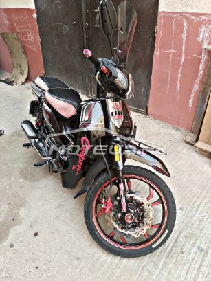 COOPER Winner s occasion  2002343