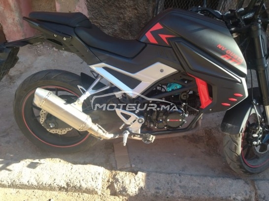 COOPER Winner s 2024 occasion  1836038