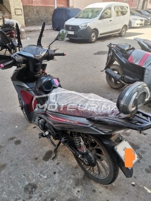 COOPER Winner s occasion  1793872