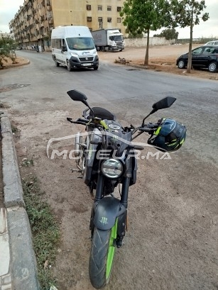 COOPER Winner s occasion  2481983