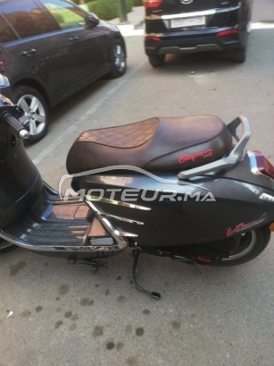 COOPER Winner s occasion  1780363