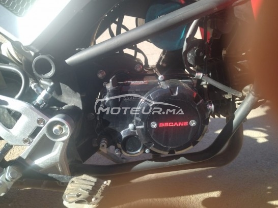 COOPER Winner s 2024 occasion  1836044