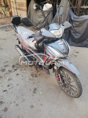 COOPER Winner s occasion  1793869