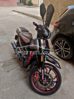 COOPER Winner s occasion  2002344