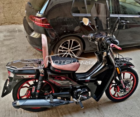 COOPER Winner s occasion  2002341