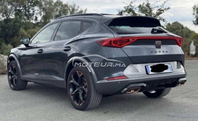 كوبرا فورمينتور Toutes options مستعملة 2911185