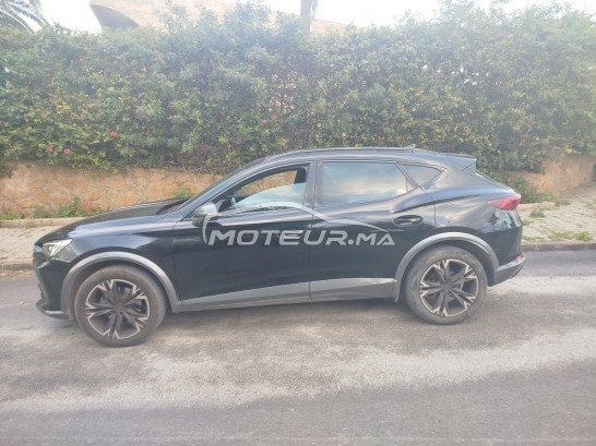 كوبرا فورمينتور 2024 مستعملة 3426273