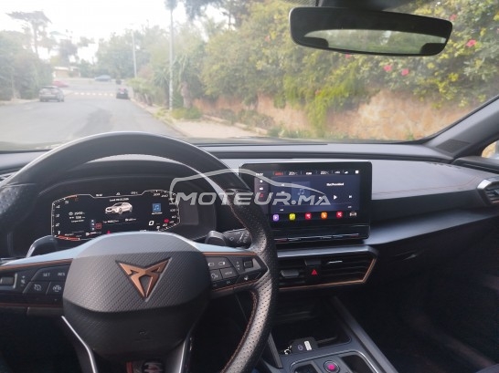 كوبرا فورمينتور 2024 مستعملة 3426275