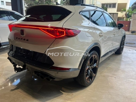 كوبرا فورمينتور مستعملة 1731036