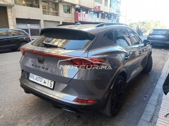 كوبرا فورمينتور مستعملة 3174488