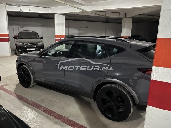 كوبرا فورمينتور Carbon édition spéciale مستعملة 2431500