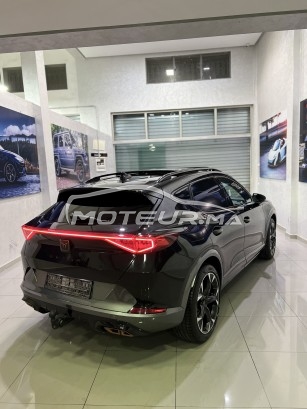 كوبرا فورمينتور مستعملة 1818417