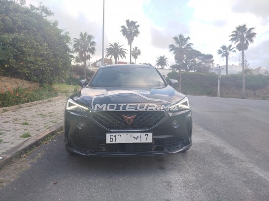 كوبرا فورمينتور 2024 مستعملة 3435247