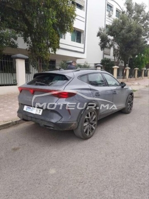 كوبرا فورمينتور مستعملة 3382691