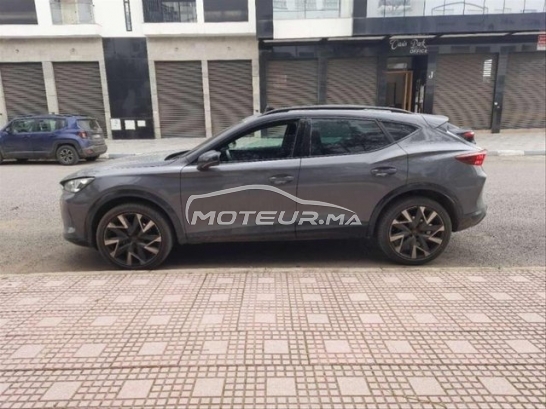 كوبرا فورمينتور مستعملة 3382697