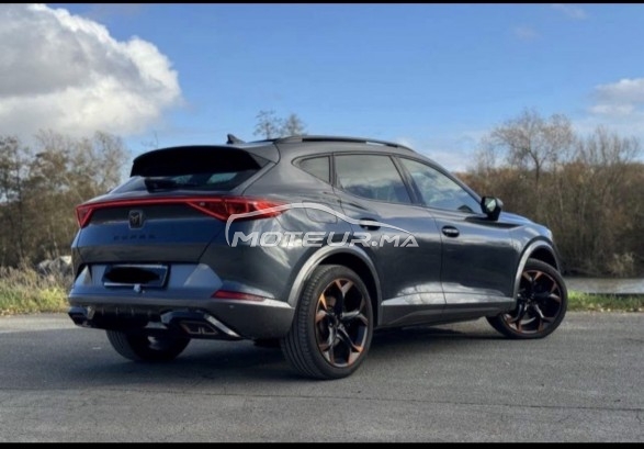 كوبرا فورمينتور Toutes options مستعملة 2911184