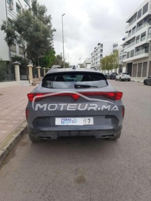 كوبرا فورمينتور مستعملة 3382684