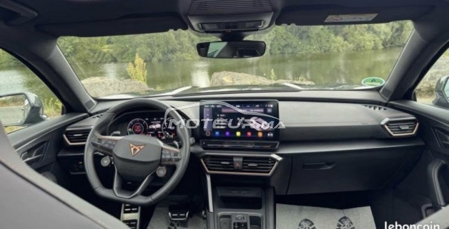 كوبرا فورمينتور Toutes options مستعملة 2911183