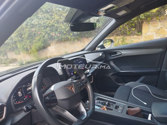 كوبرا فورمينتور 2024 مستعملة 3426274