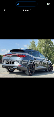 كوبرا فورمينتور Toutes options مستعملة 2911181