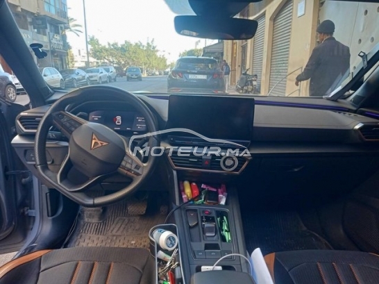 كوبرا فورمينتور مستعملة 3174492