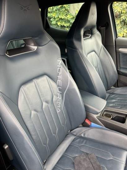 كوبرا فورمينتور Tdi مستعملة 1835413