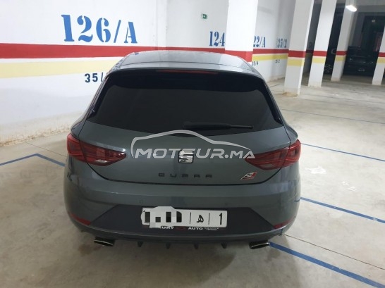 كوبرا ليون مستعملة 1369718