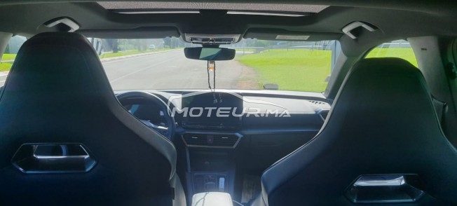 كوبرا ليون مستعملة 1949461