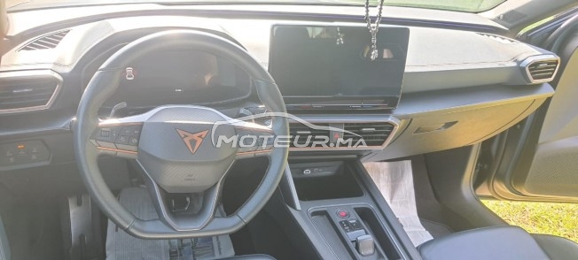 كوبرا ليون مستعملة 1949463