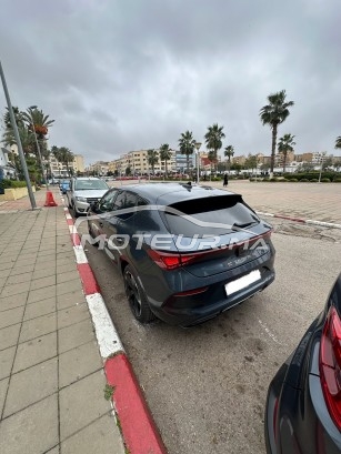 كوبرا ليون مستعملة 1801471