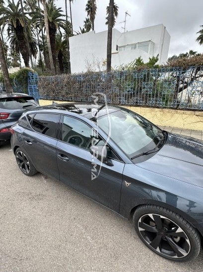 كوبرا ليون مستعملة 1801475