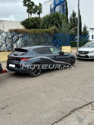 كوبرا ليون مستعملة 1801476