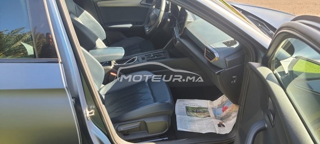 كوبرا ليون مستعملة 1949464