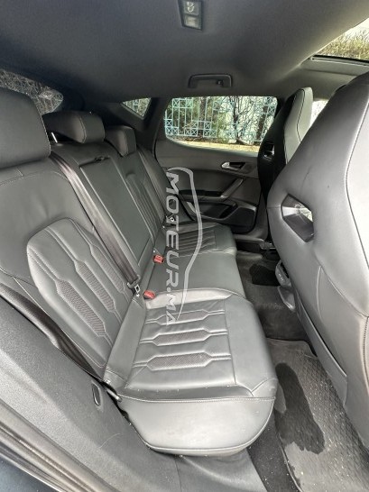 كوبرا ليون مستعملة 1801472