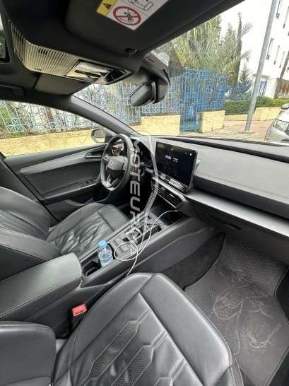 كوبرا ليون مستعملة 1801473