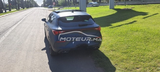 كوبرا ليون مستعملة 1949459