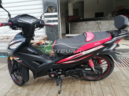 COOPER Winner s occasion  1108819