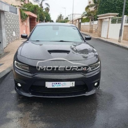 دي اس اوتري مستعملة 3370339