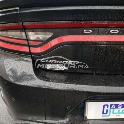 دي اس اوتري مستعملة 3370326