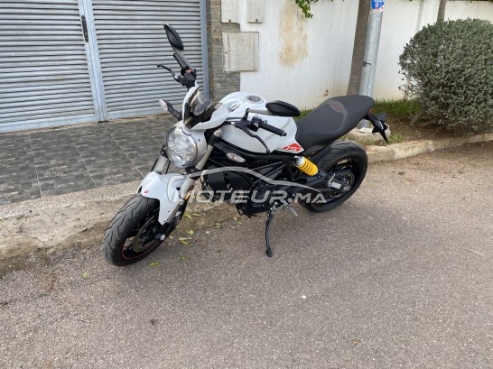 DUCATI Monster 796 797 occasion  1544970