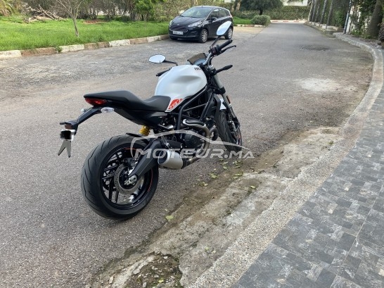 DUCATI Monster 796 797 occasion  1544965