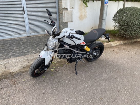 DUCATI Monster 796 797 occasion  1544968