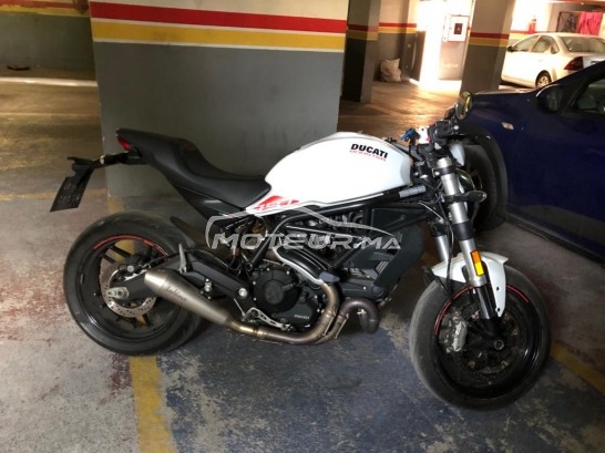 DUCATI Monster 750 occasion  1714486
